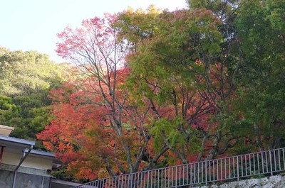 191109-11.jpg