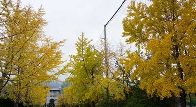 191124-15.jpg