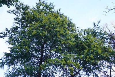 200111-01.jpg