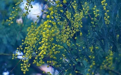200111-02.jpg