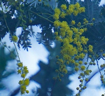 200111-04.jpg
