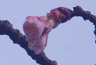 200118-12.jpg