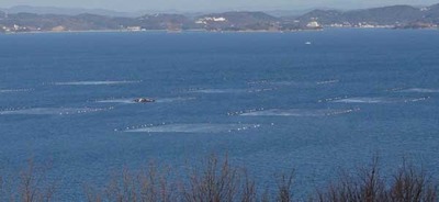 200118-15.jpg
