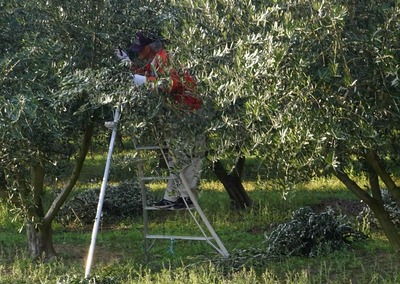 200125-06.jpg