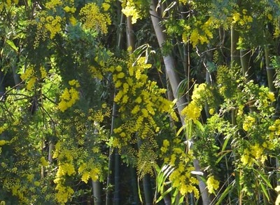 200201-06.jpg