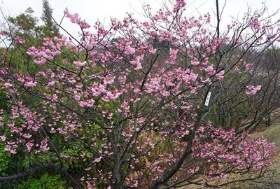 200216-11.jpg