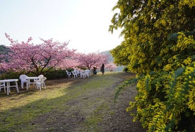 200222-04.jpg