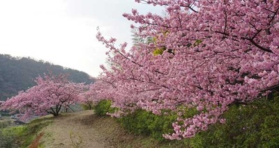 200222-05.jpg