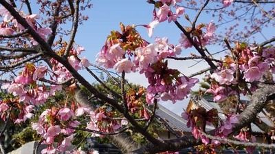 200222-11.jpg