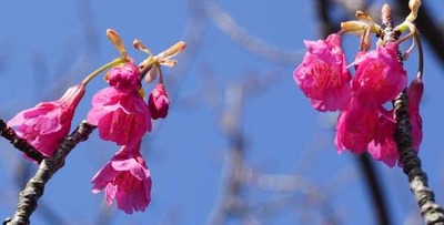 200222-14.jpg