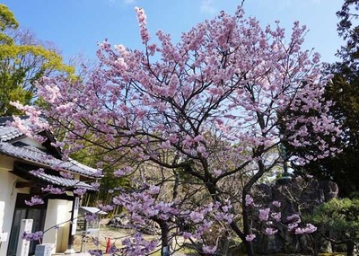 200308-01.jpg
