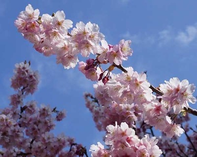 200308-02.jpg