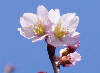200308-03.jpg
