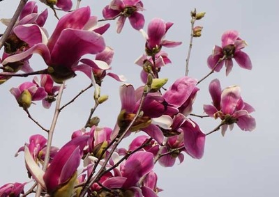 200315-11.jpg