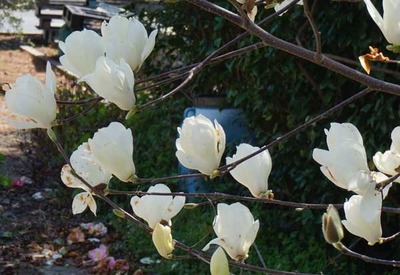 200315-12.jpg