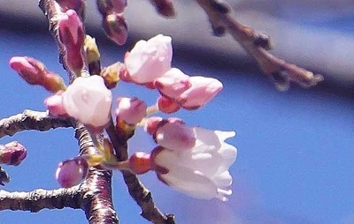 200320-01.jpg