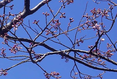 200320-02.jpg