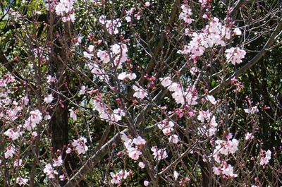 200320-06.jpg