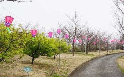 200320-16.jpg