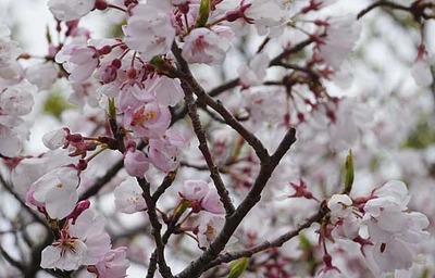 200329-01.jpg