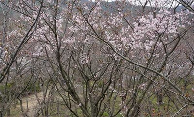 200329-02.jpg