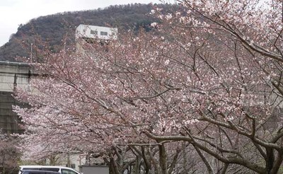 200329-03.jpg