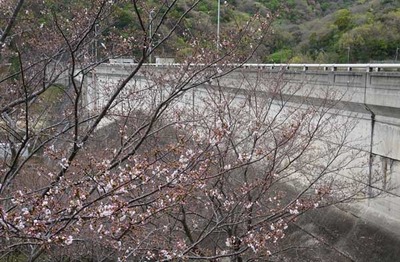 200329-05.jpg