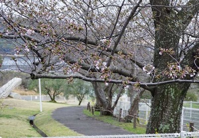 200329-06.jpg