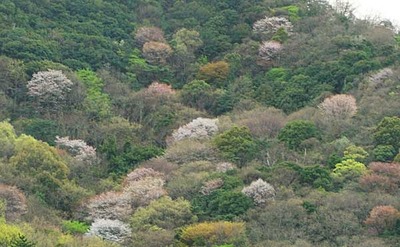 200329-07.jpg