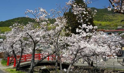 200404-10.jpg
