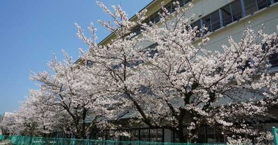 200404-13.jpg