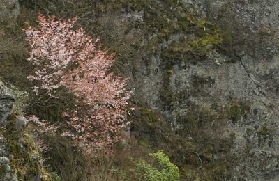 200404-24.jpg