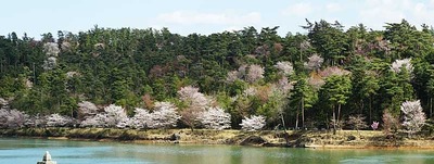 200404-27.jpg