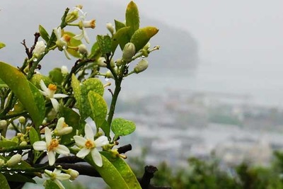 200516-03.jpg