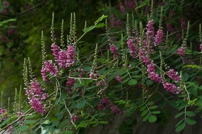 200614-11.jpg