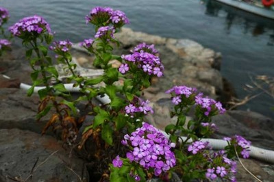200628-03.jpg