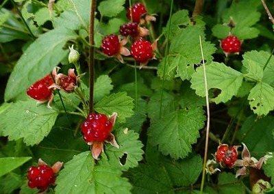 200628-09.jpg