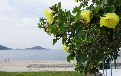 200701-04.jpg
