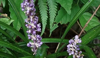 200830-11.jpg