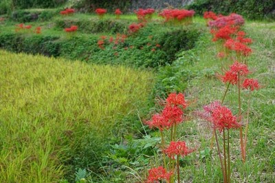 201004-01.jpg