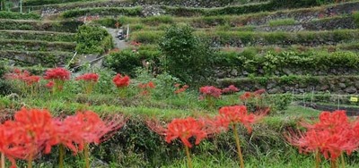 201004-02.jpg