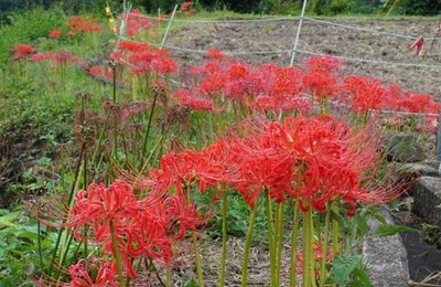 201004-03.jpg