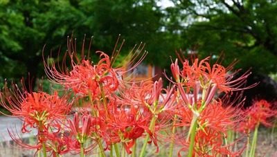 201004-05.jpg