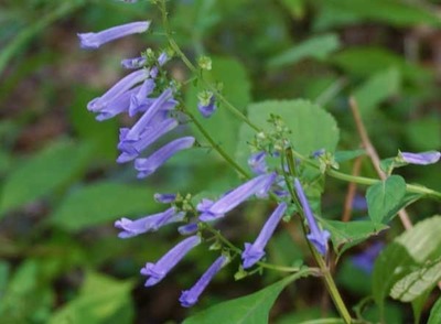 201011-03.jpg