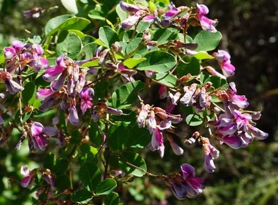 201011-07.jpg