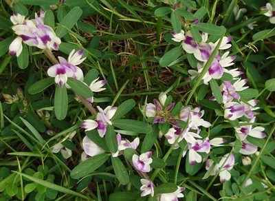 201011-09.jpg