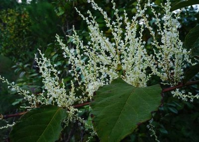 201011-11.jpg