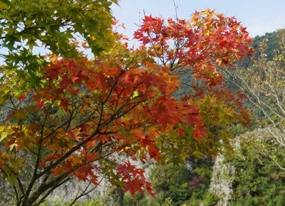 201018-01.jpg