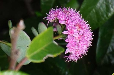 201024-10.jpg