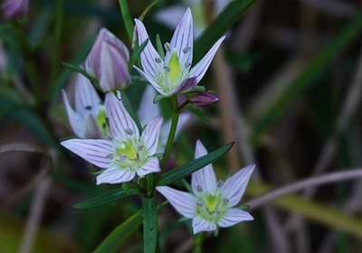 201024-12.jpg